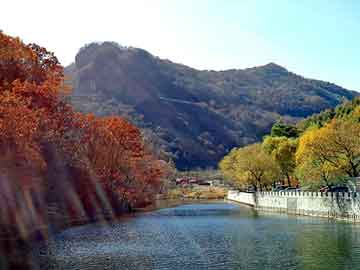 澳门二四六天天彩图库，社会工程学